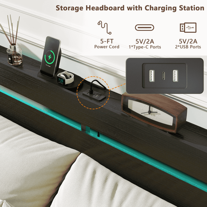 Tydimor Queen Size Bed Frame with 2 Drawers & LED Lights & Charging Station, Beds with Headboard & 10.10" Under Bed Storage, No Box Spring Needed, Easy Assembly, Black