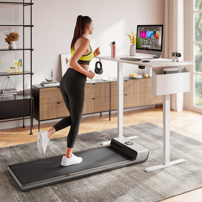 Satifur Electric Standing Desk 48", Ergonomic Computer Desk with Memory Preset, Height Adjustable Sit Stand Desk with Hooks & Storage, White